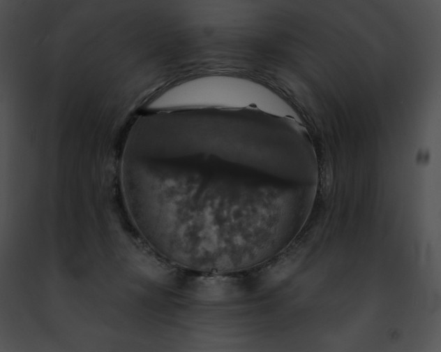 X0000091460367200708301836