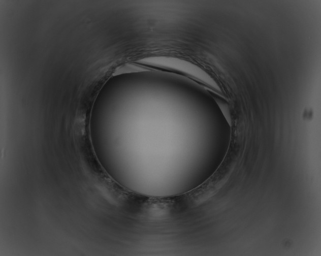 X0000091460368200708301836