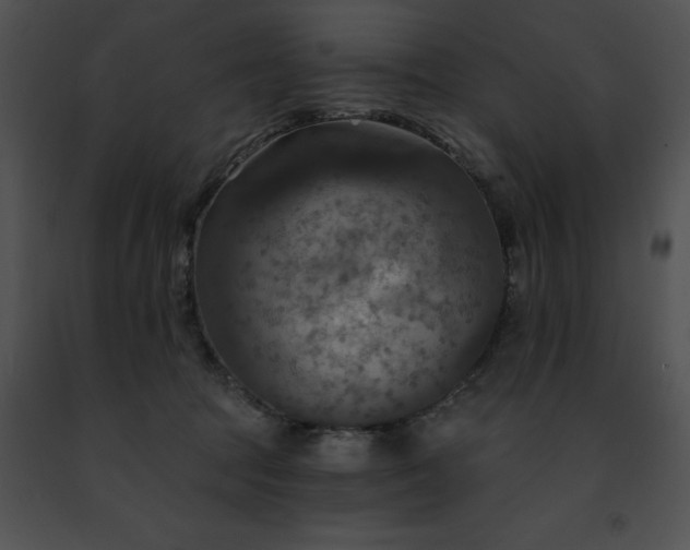 X0000091460369200708301836