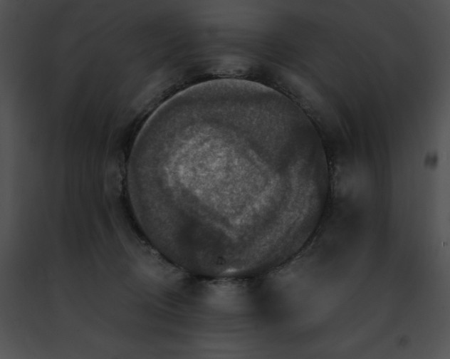 X0000091460370200708301836