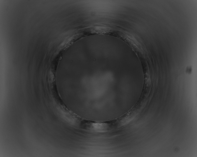 X0000091460371200708301836