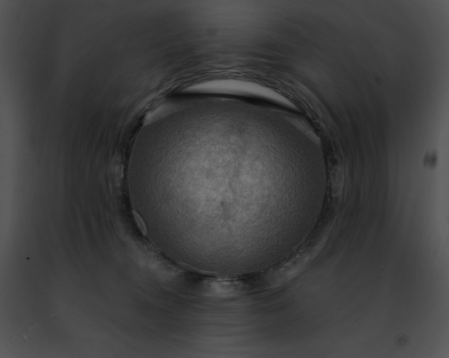 X0000091460372200708301836