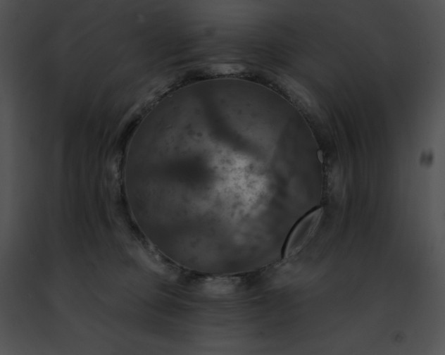 X0000091460373200708301836