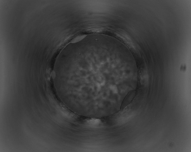 X0000091460374200708301836