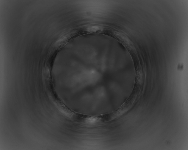 X0000091460375200708301836