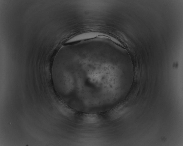 X0000091460377200708301837