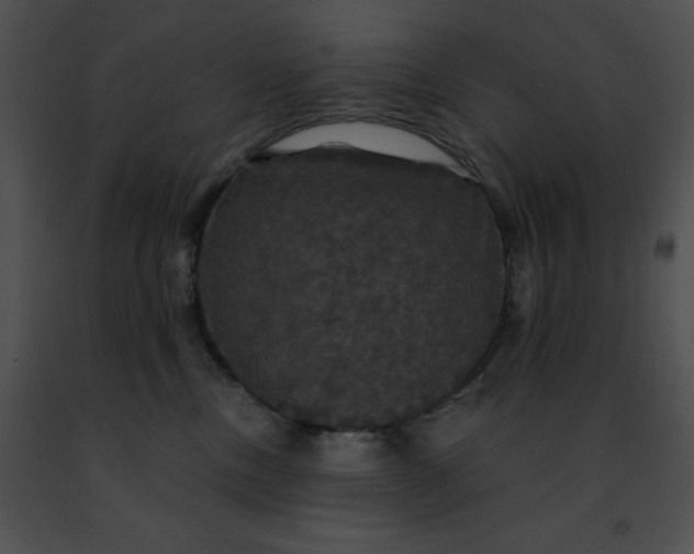 X0000091460378200708301837