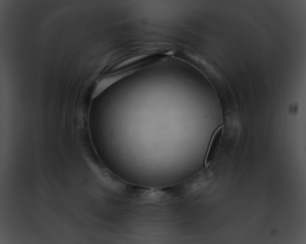 X0000091460379200708301837