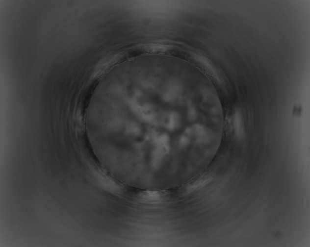 X0000091460381200708301837