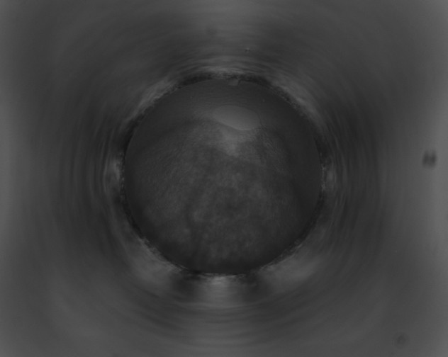 X0000091460382200708301837