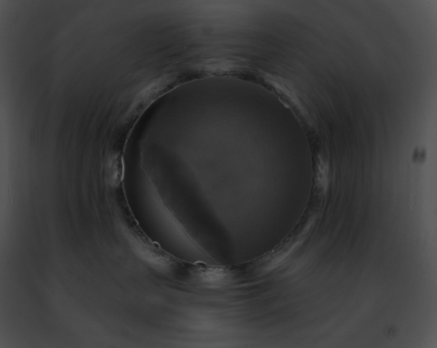 X0000091460383200708301837