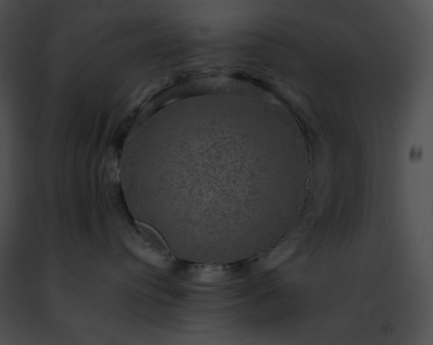 X0000091460384200708301837