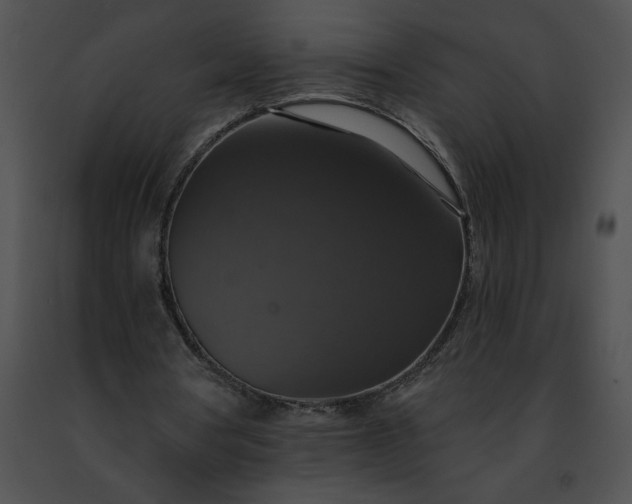 X0000091460386200708301836