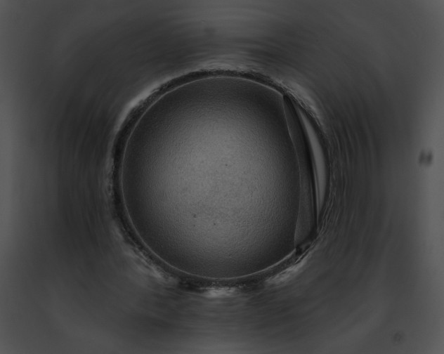 X0000091460388200708301836