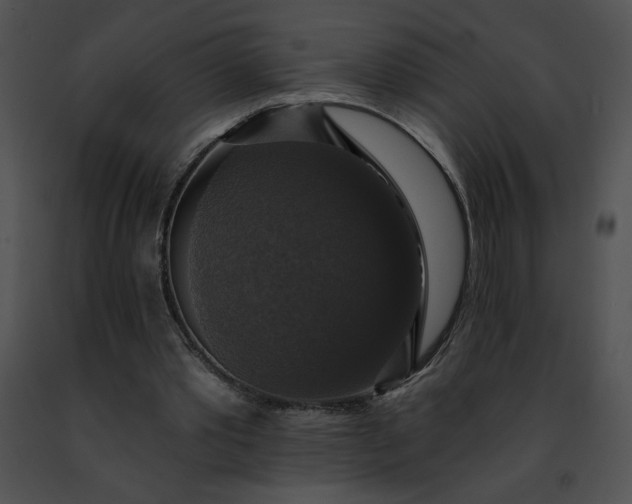 X0000091460389200708301836