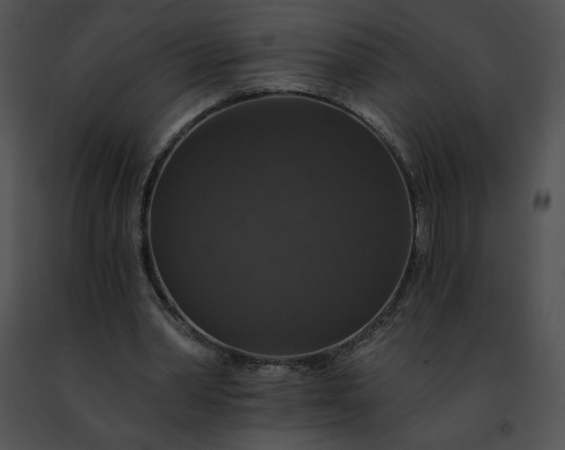 X0000091460390200708301836