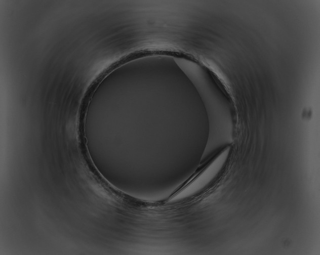 X0000091460391200708301836