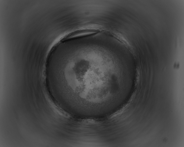 X0000091460392200708301836