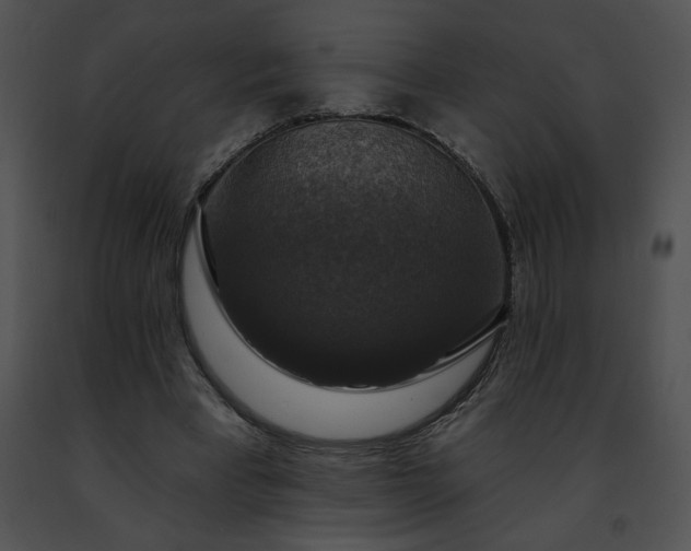 X0000091460393200708301836