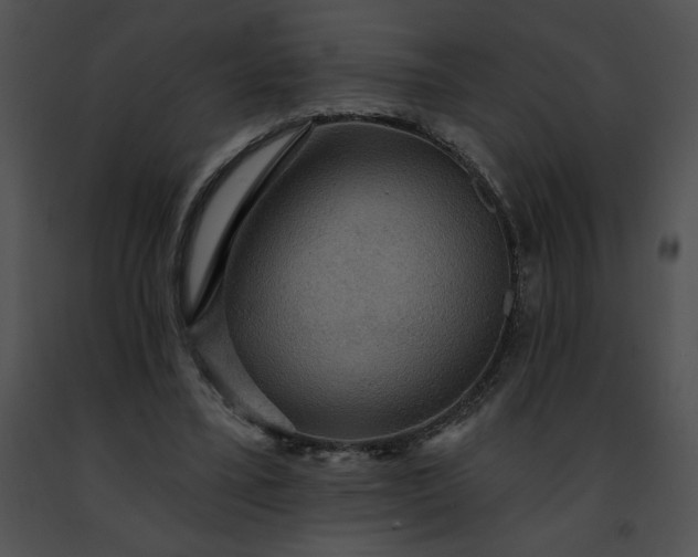 X0000091460395200708301836