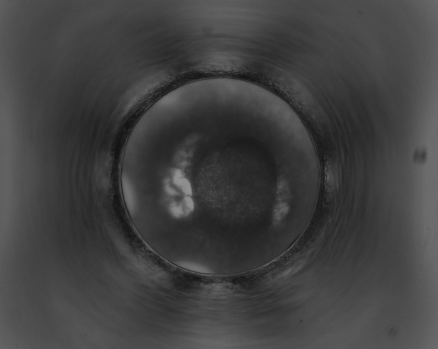 X0000091460396200708301836