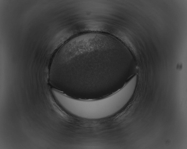 X0000091460397200708301836