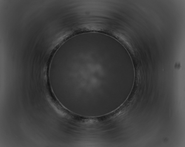 X0000091460398200708301836