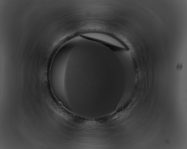 X0000091460399200708301836