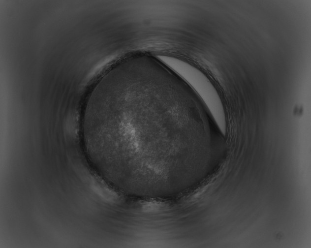 X0000091460400200708301836