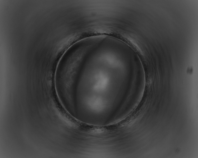 X0000091460402200708301836