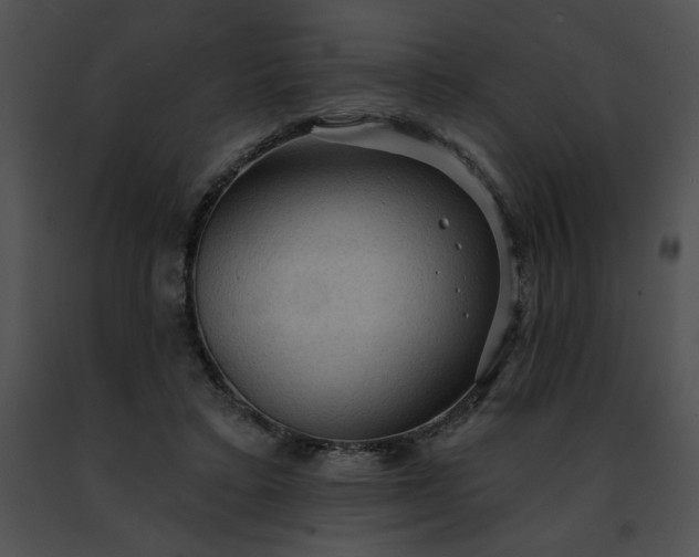 X0000091460403200708301836