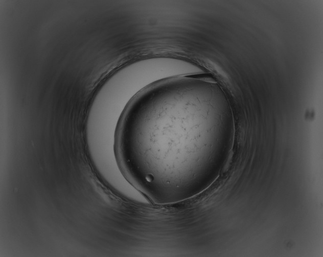 X0000091460405200708301836