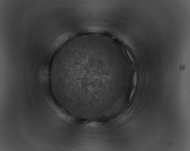 X0000091460407200708301836