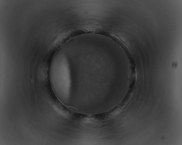 X0000091460408200708301836