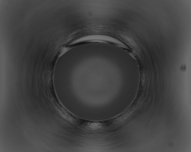 X0000091460409200708301836