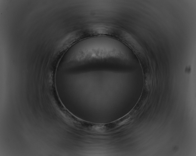 X0000091460410200708301836