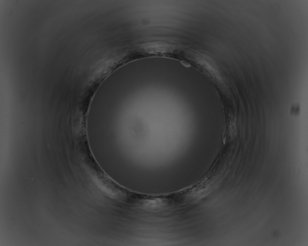 X0000091460411200708301836