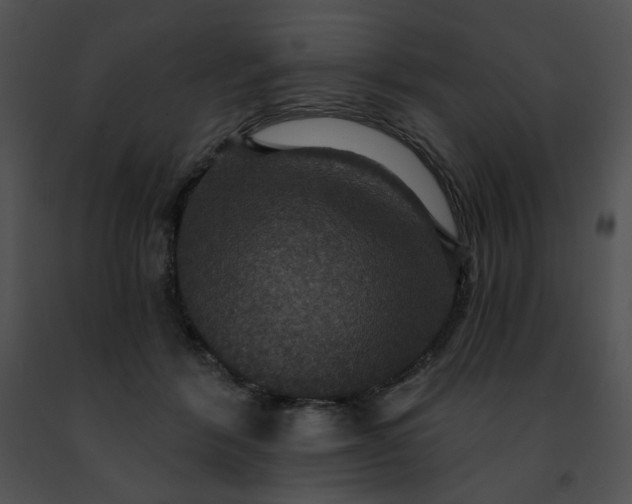 X0000091460412200708301836