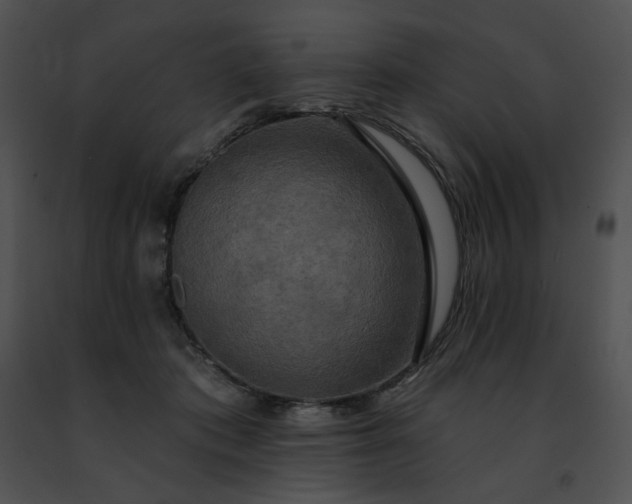 X0000091460413200708301836