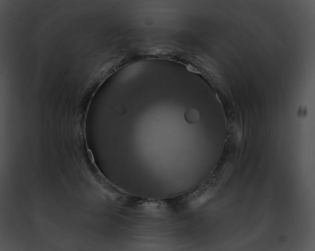 X0000091460415200708301836