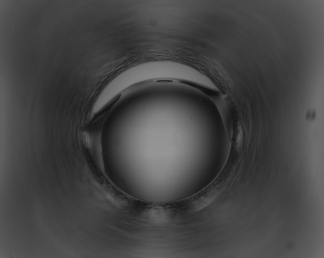 X0000091460416200708301836