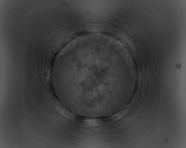 X0000091460417200708301836