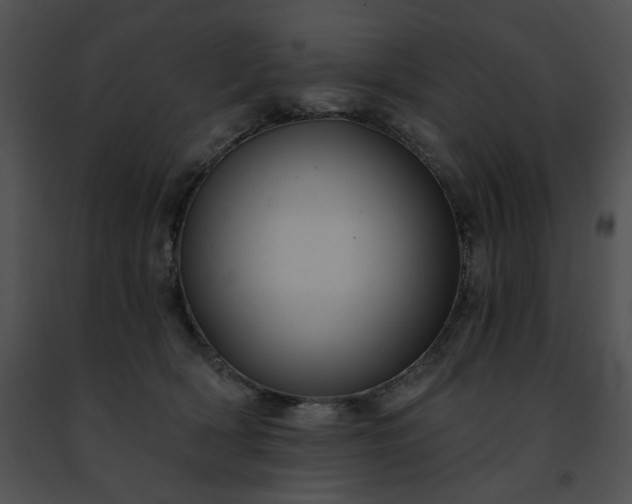 X0000091460418200708301836