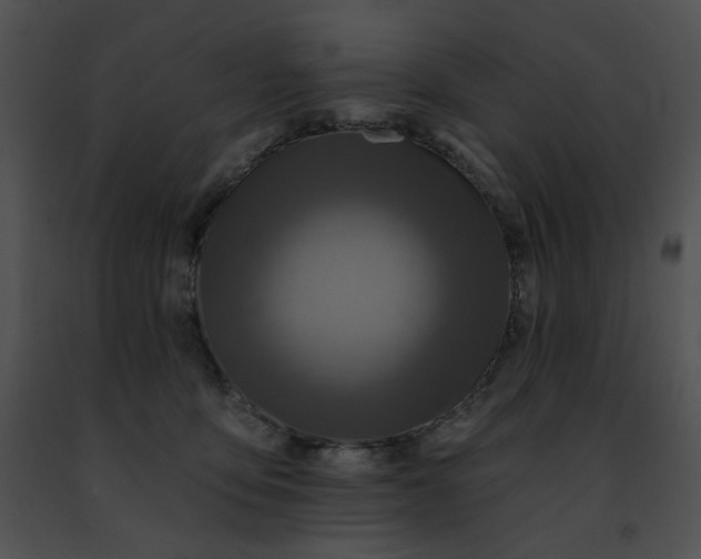 X0000091460419200708301836