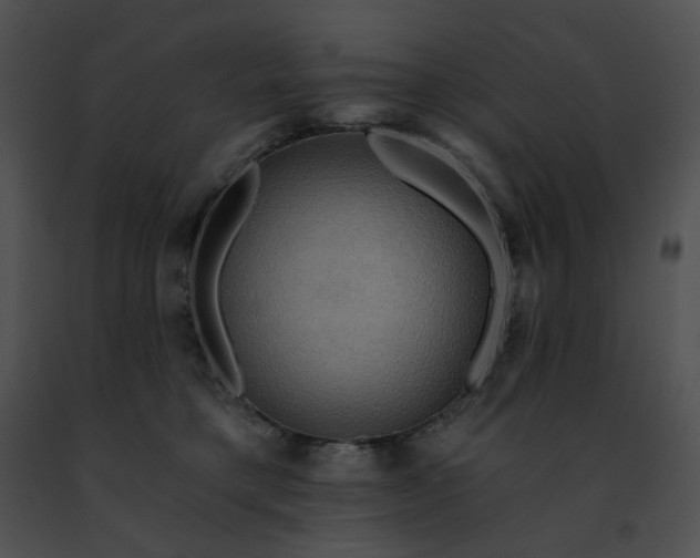 X0000091460421200708301836