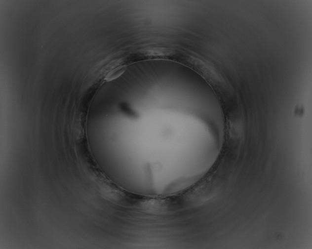 X0000091460422200708301836