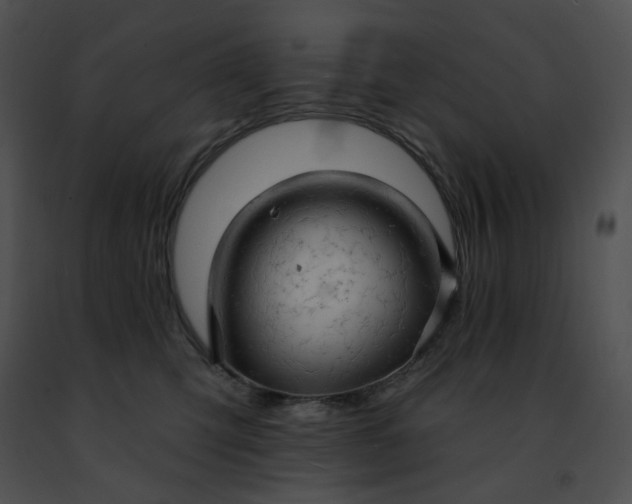 X0000091460423200708301836