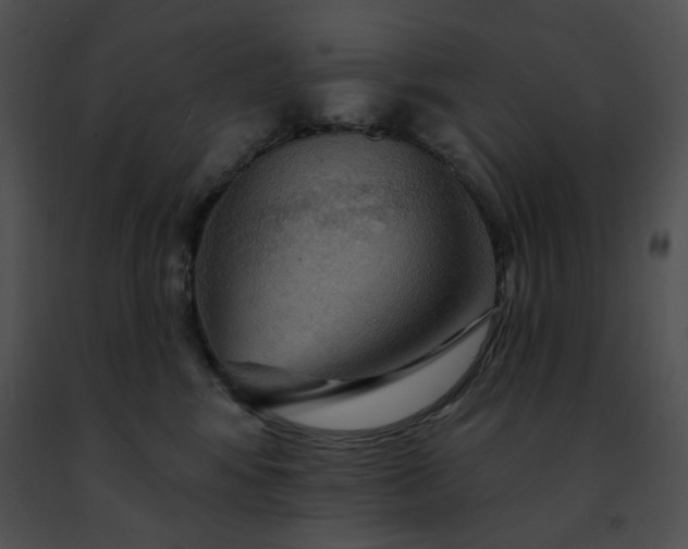 X0000091460424200708301836