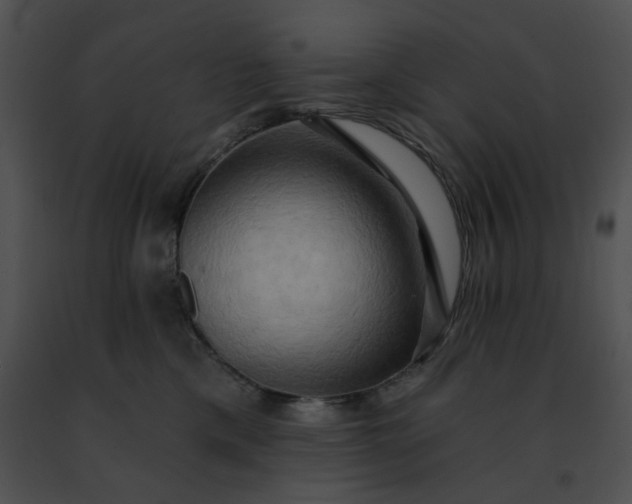 X0000091460425200708301836