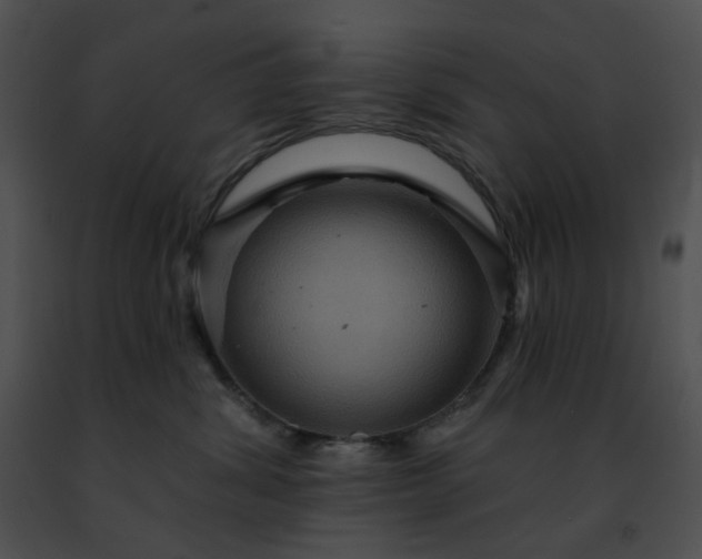 X0000091460428200708301835